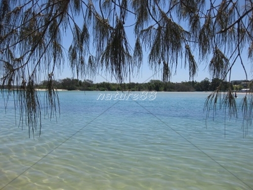 Product picture Peaceful Trees and Water - Nambucca Heads ( High Resolution)