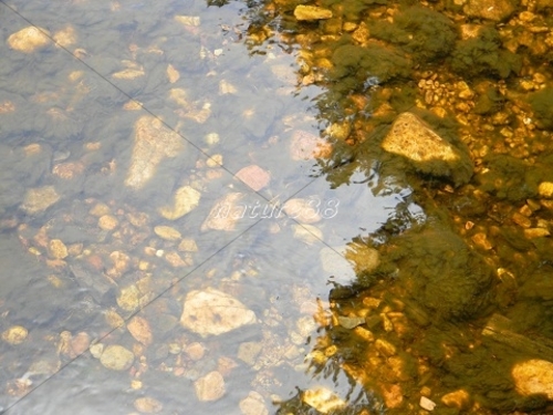 Product picture Stones in the clear water - Cradle Mountain Tasmania
